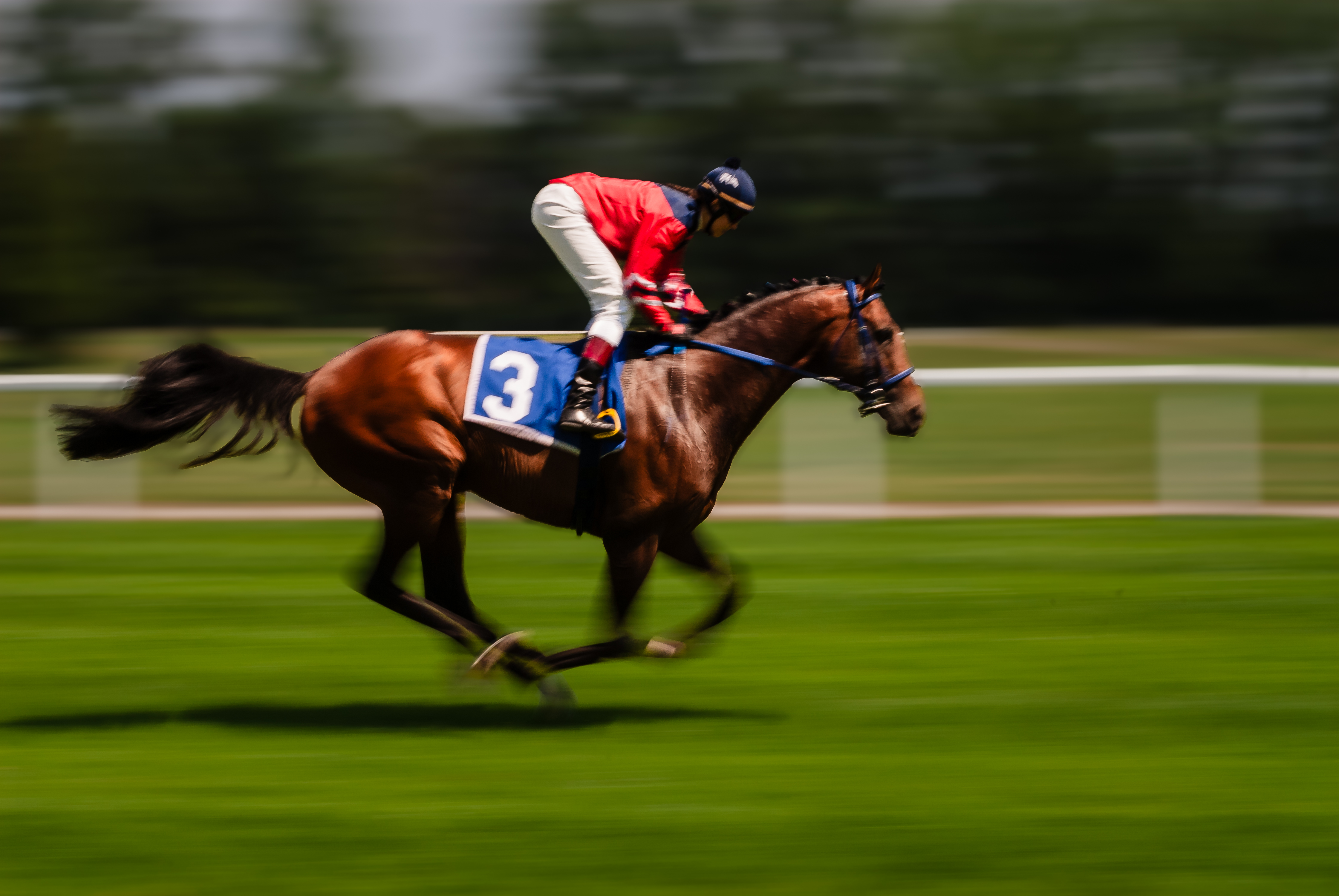 Galopprennbahn Riem -  01883